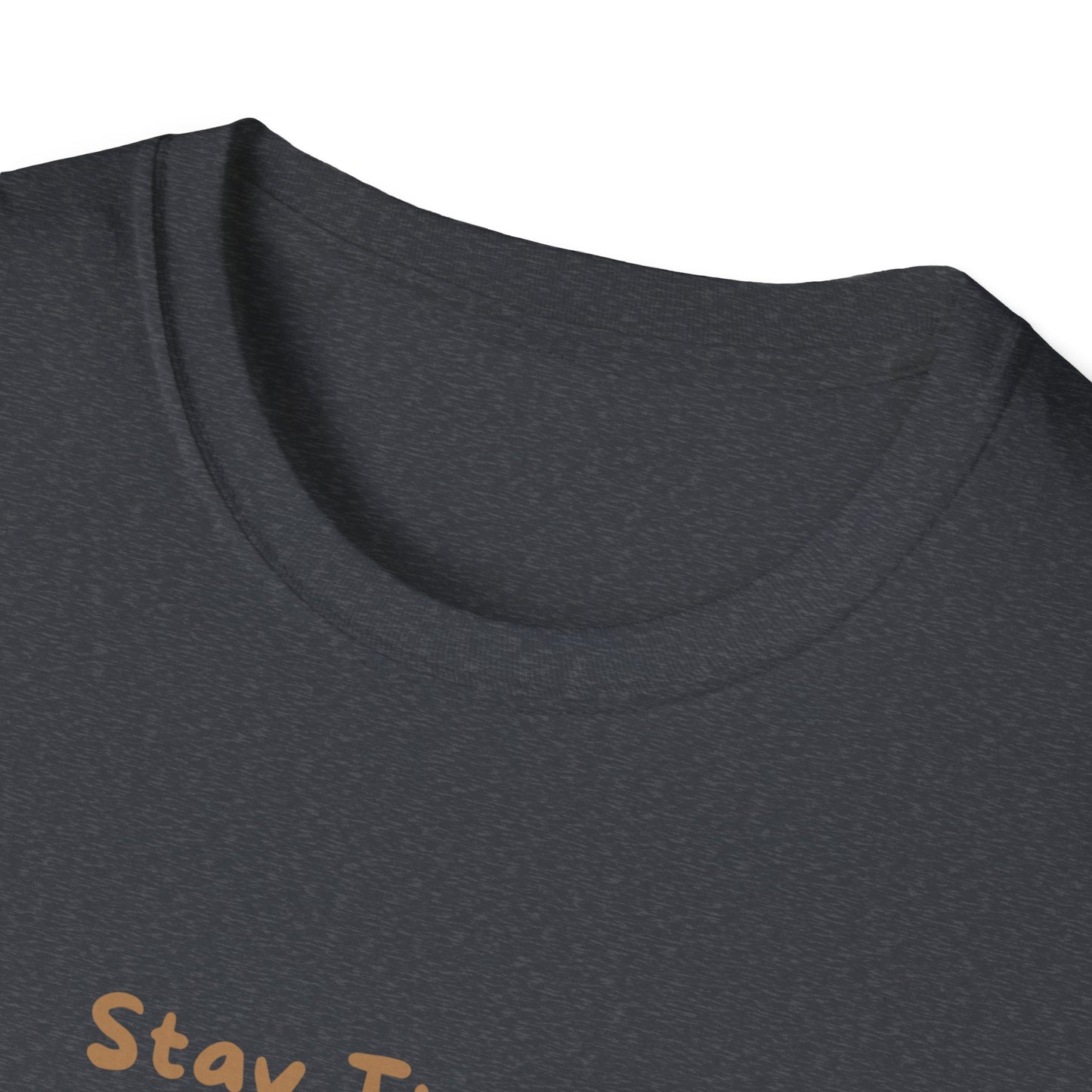 Stay Trashy Raccoon Crown T-Shirt | Cute Animal Kawaii Unisex Tee